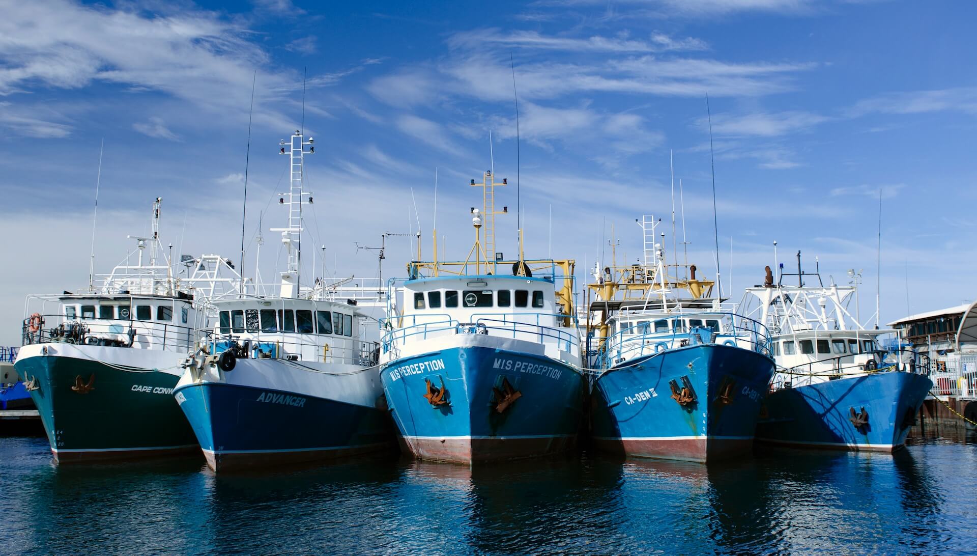 Verjat paints - Pêche